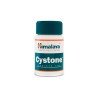 Cystone 100 Tabletten - Himalaya