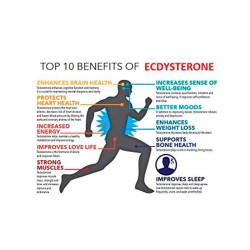 Ecdisterona Ecdysterone 250, Everbuild, 90 capsulas