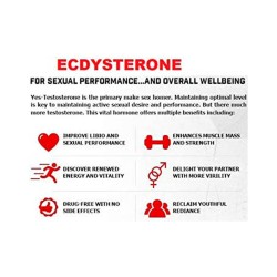 Ecdisterona Ecdysterone 250, Everbuild, 90 capsulas