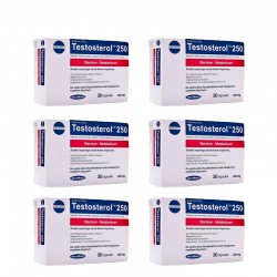 Pack 6 x Testosterol 250 Megabol 30 capsules